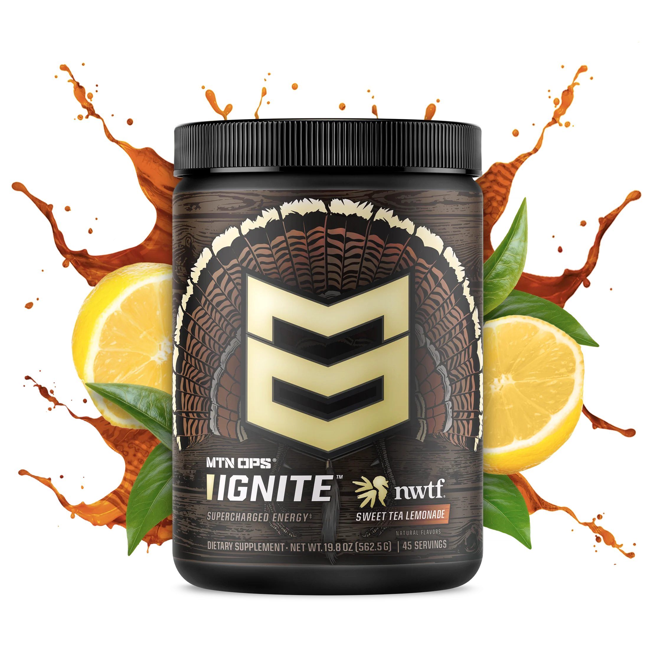 IGNITE - Image 33