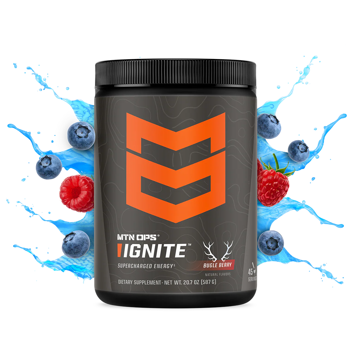 IGNITE - Image 41