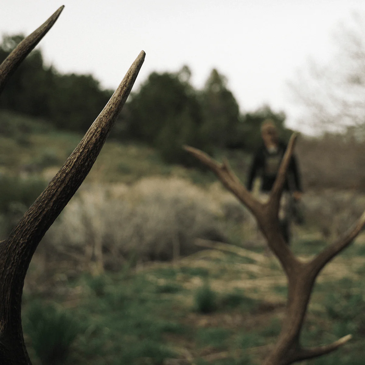 RELOAD - Image 73